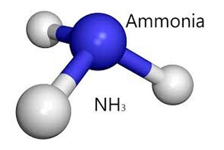 הקשר בין טמפרטורה ובין רעילות אמוניה