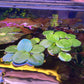 Limnobium Leavigatum (Amazon Frogbit).                                לימנוביום לאוויגטום (צפרדעון אמזוני)