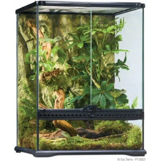טרריום_אקזוטרה_PT2607_45x45x60.jpg