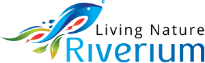 RIVERIUM