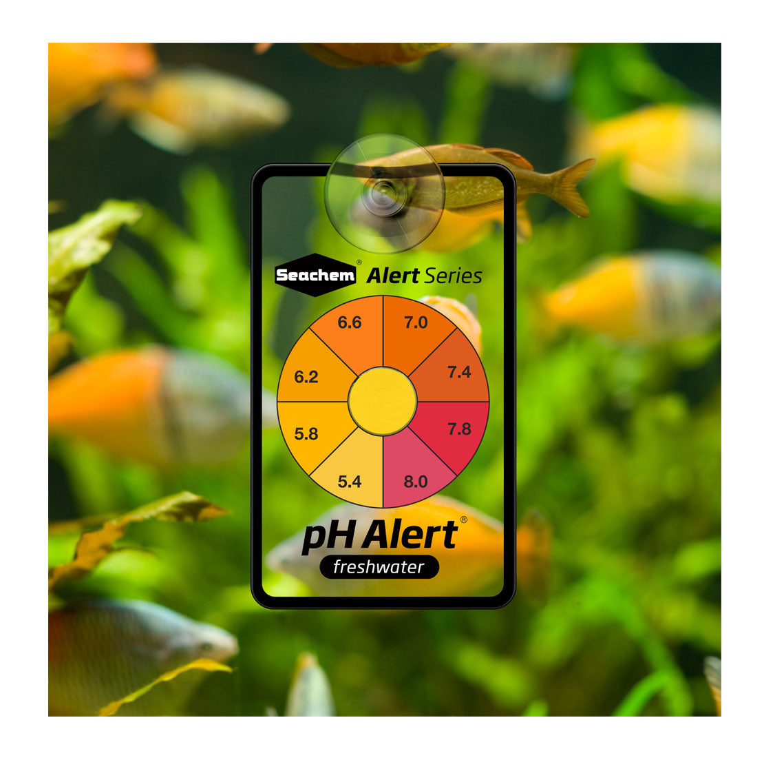 סיכם PH alert